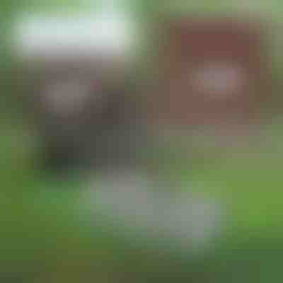 Ferramenta de jardim multifuncional para a manutenção do solo | PRONGSPRO