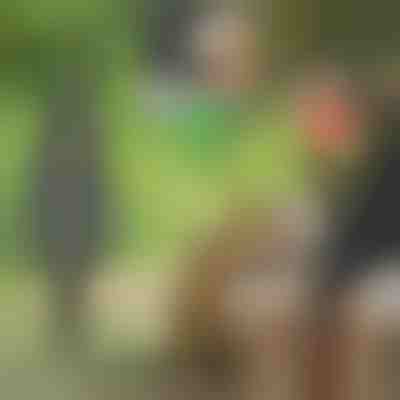 Destruidor de madeira | WOODCRACKER