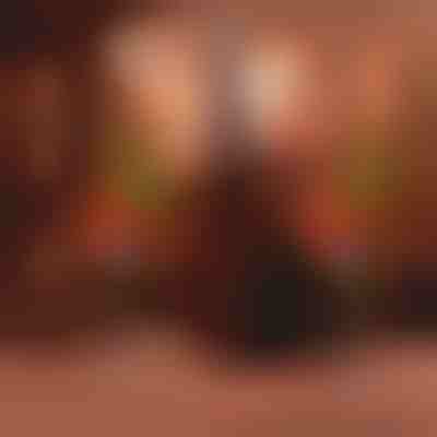 Luz Solar para Árvores | CUPRESSUS