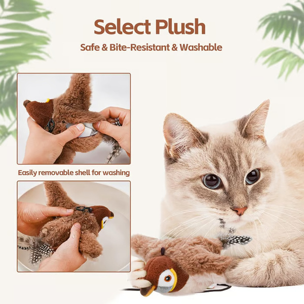 CHIRRCAT-3831127628906-EN-9__221225